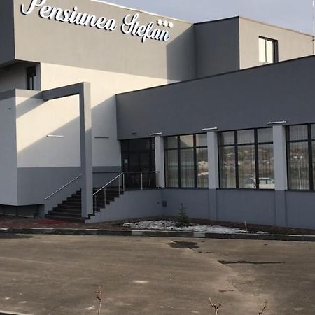 Pensiunea Stefan 克拉奥华 外观 照片